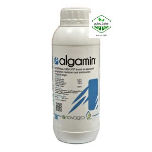 آلگامین