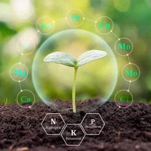 آمینو اسید ها